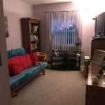 Living room with teal futon sofa and red cushions, wooden bookcase, TV stand, and window with lace curtains, at 9414 Evans Street property